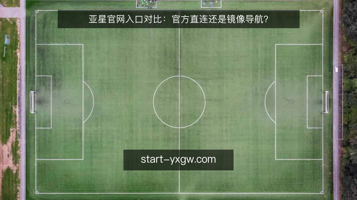 亚星官网入口对比:官方直连还是镜像导航?
