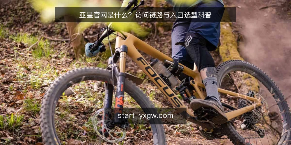 亚星官网是什么?访问链路与入口选型科普 — 亚星官网的定义与访问链路 配图