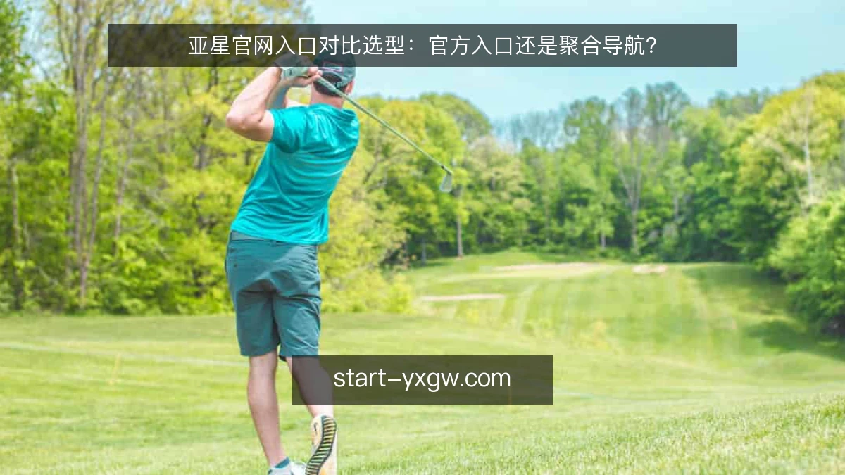 亚星官网入口对比选型:官方入口还是聚合导航?